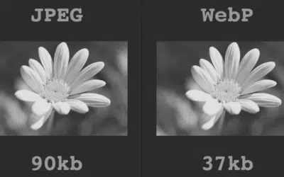 Pourquoi utiliser le format WebP sur votre site web ?